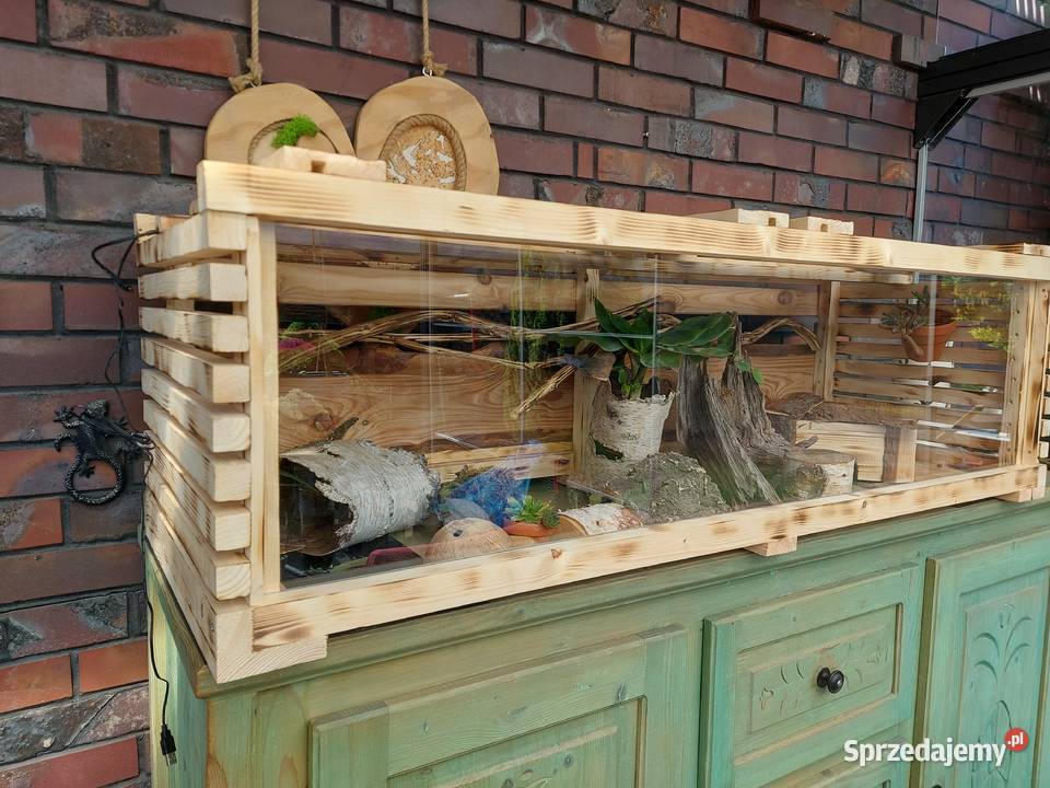 Duże piękne terrarium żółwia lądowegojeża