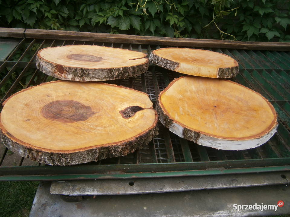 naturalna tacapatera z plastra brzozy WKLĘSŁA Siedlce