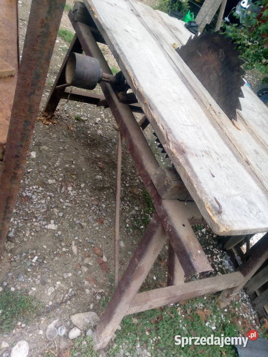 Cyrkularka krajzege piła stołowa Krasnystaw