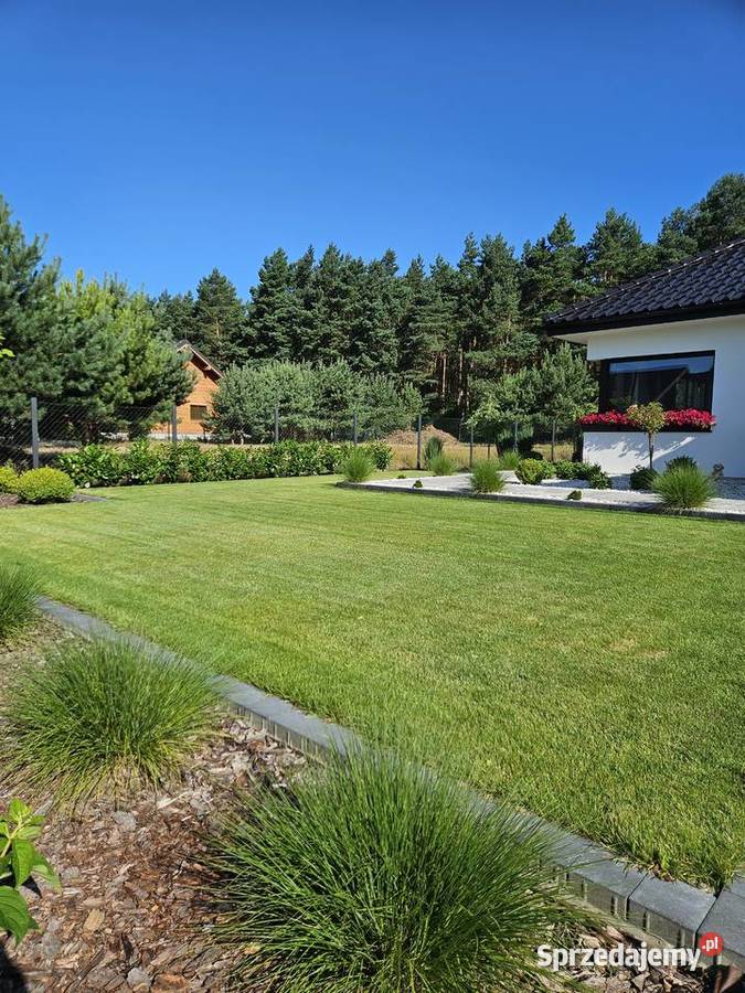 Zakładanie pielęgnacja ogrodu Bydgoszcz