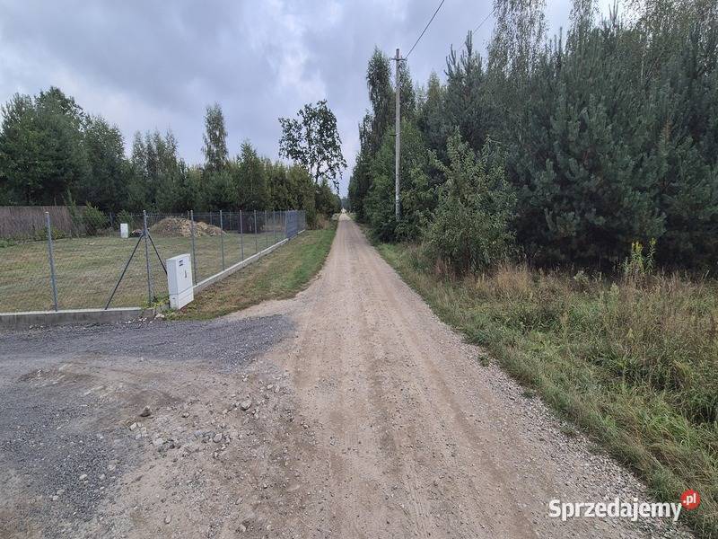 Syndyk sprzeda nieruchomości gruntowe Jachranka mazowieckie