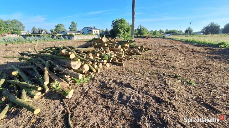 Mulczowania Wycinka drzewCzyszczenie działek warmińsko-mazurskie Nowe Miasto Lubawskie