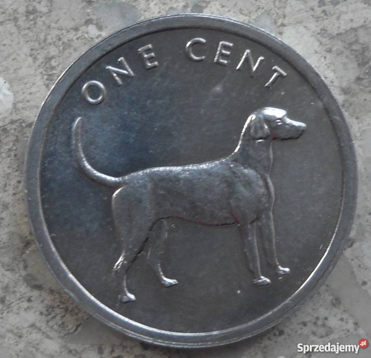 WYSPY COOKAONE CENT2003 r PIES mazowieckie Legionowo