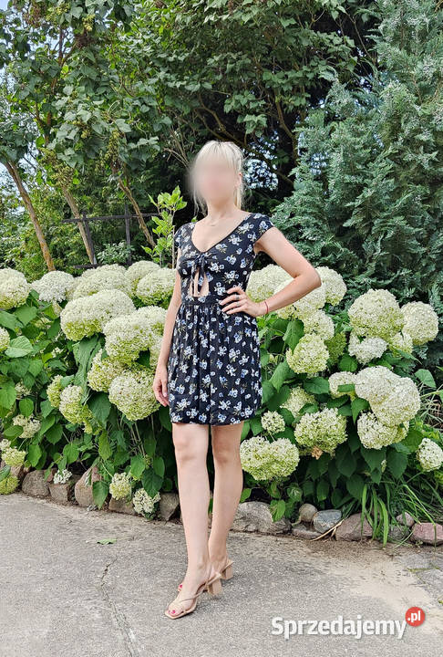 Sukienka Hollister S 36 na lato kwiaty floral Szczecin