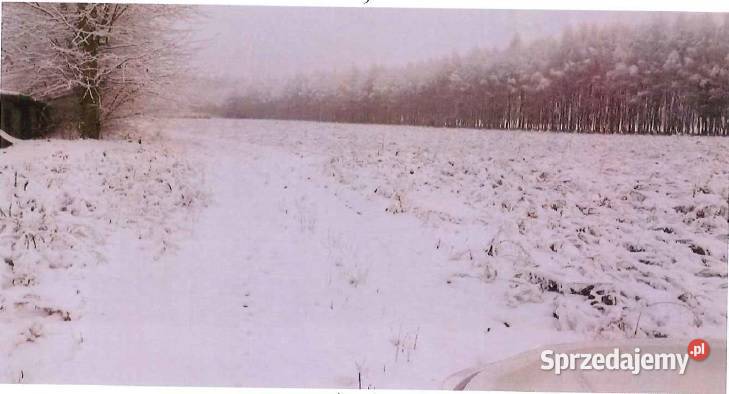 Syndyk sprzeda udział 12 w nieruchomości Nowa Wieś