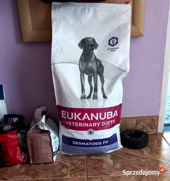 Karma psa sucha Eukanuba dolnośląskie Wrocław