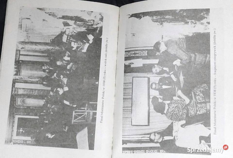 Potyczki zielonym stoliku Przemysław Hauser