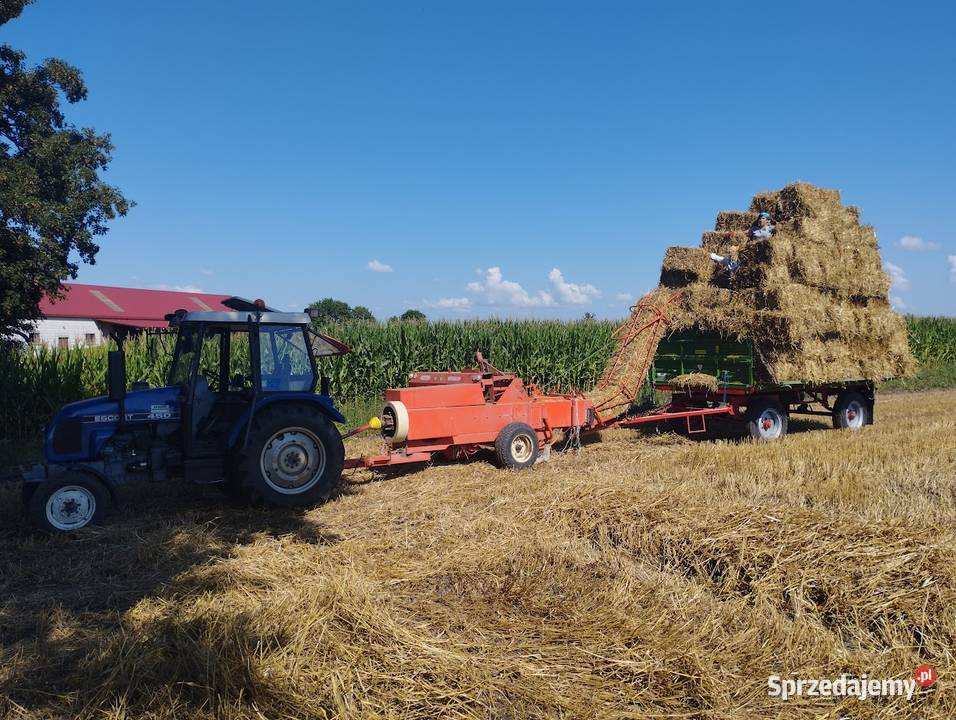 sipma z224 drabinka zadbana Hrubieszów sprzedam