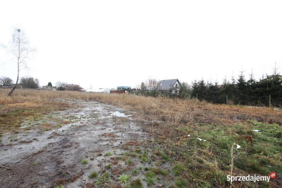 Działka Budowlana 6600 m2 Różanej Syców