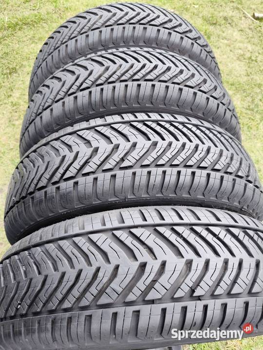 17565 R14 Kormoran AllSeason 2024r wielkopolskie Binkowo