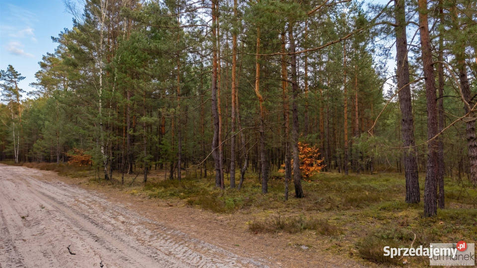 Działka 8929 metrów Majdan Kasztelański
