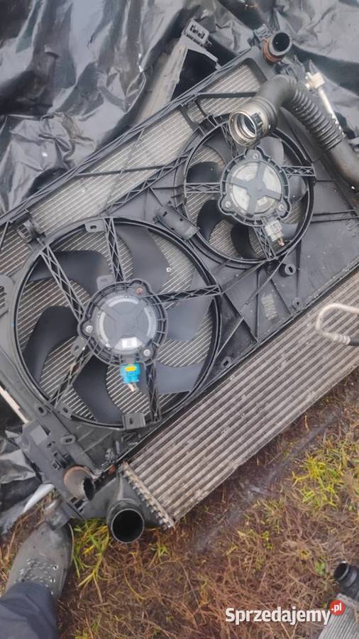 Części Renault Trafic Vivaro Części montażowe Kalisz Pomorski