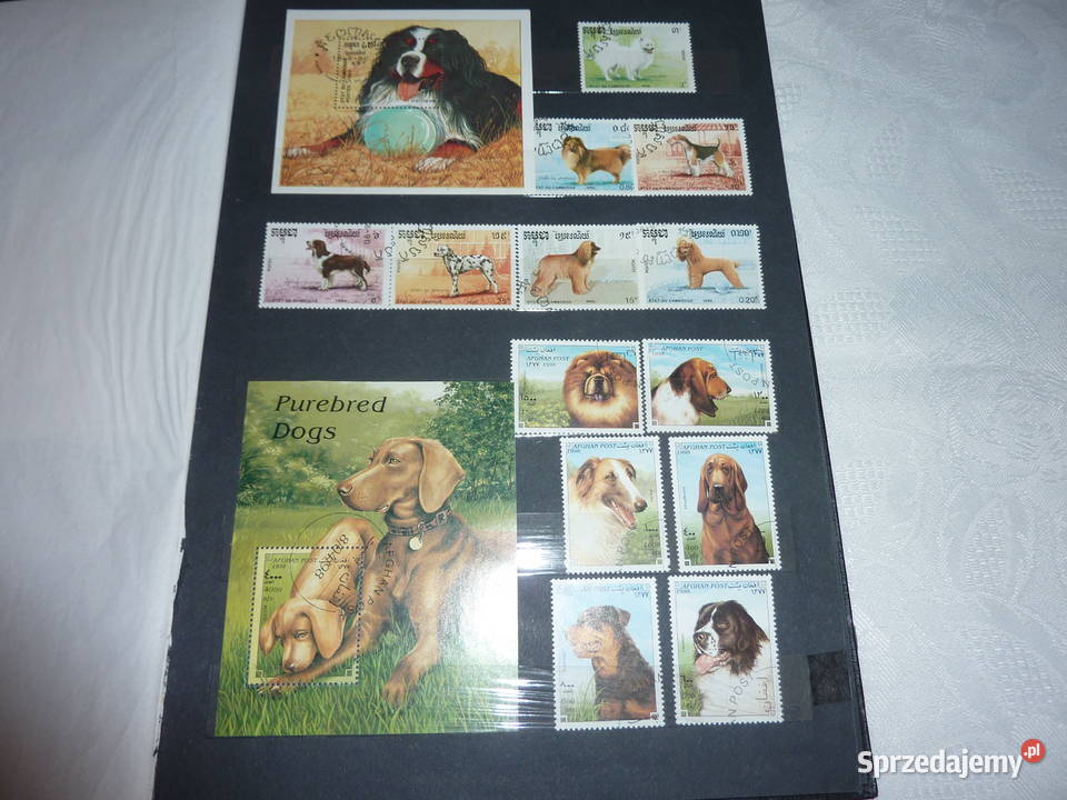 Album znaczków Fauna i Flora Bukowno