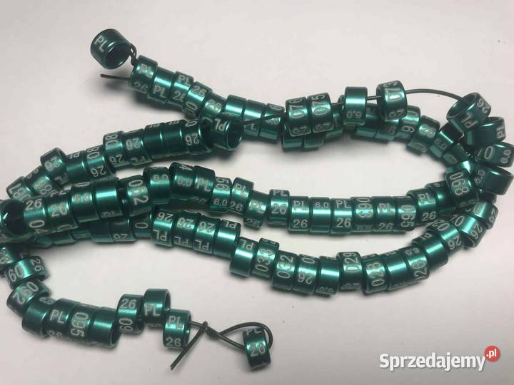 Obrączki drobnej egzotyki papug 26 26 rozmiar Dla ptaków Maków Podhalański