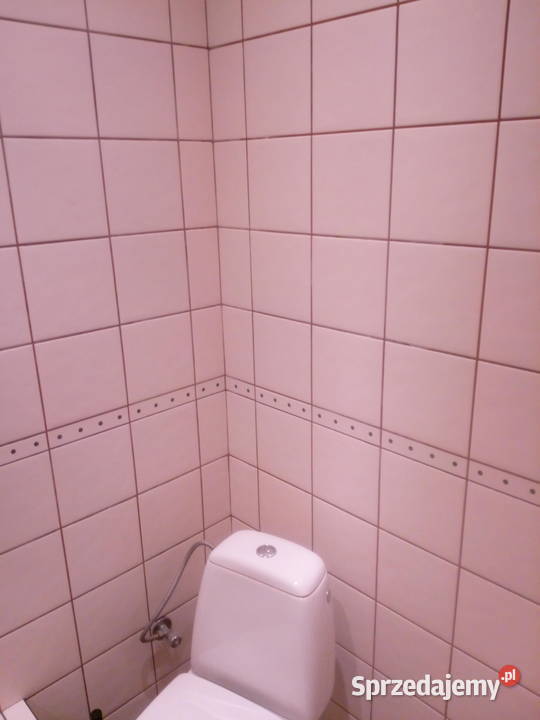 Pokój biurowy na Jeżycach Staszica parter Poznań sprzedam