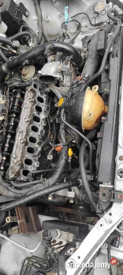 Toyota głowica 20 D4D 2004r Stan Corolla e12 osobowe Ostrowiec Świętokrzyski