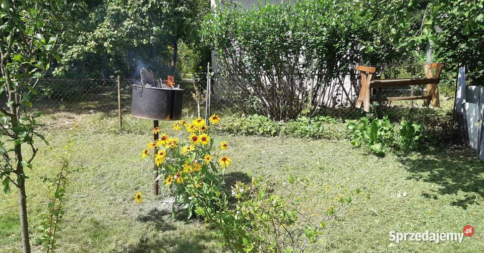Ogródek działkowy ROD 300 m2 Białołęka Warszawa sprzedam