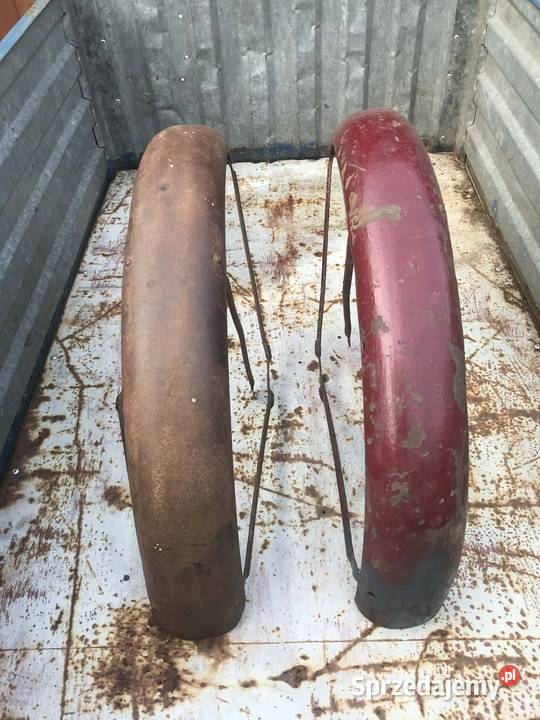 Błotniki WFM podkarpackie Pruchnik