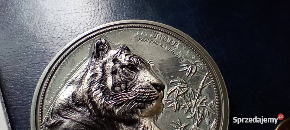 Stare monety Medal 235 podkarpackie Lesko