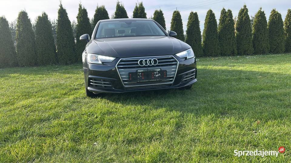 Audi A4 B9 20 TFSI 2019