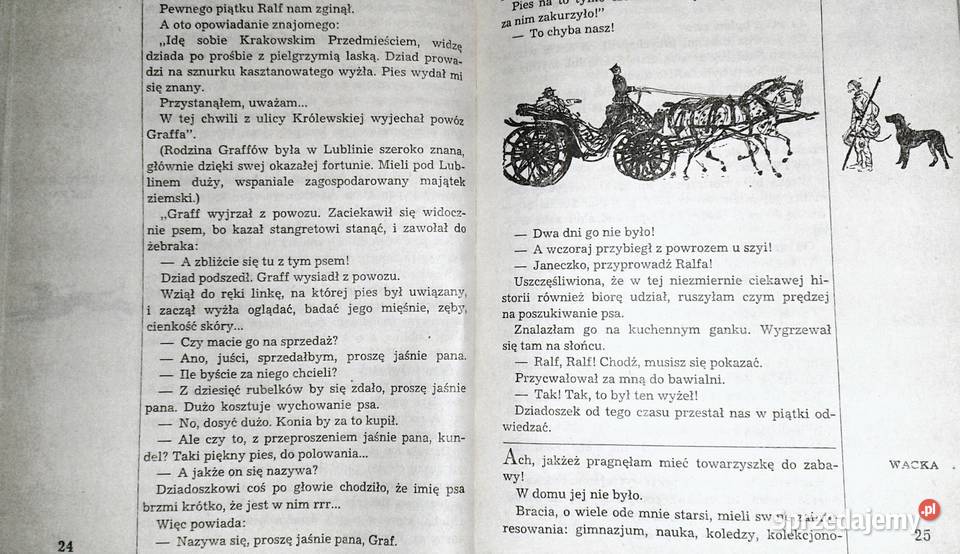 I w sto koni nie dogoni Janina Porazińska Pozostałe Chełm