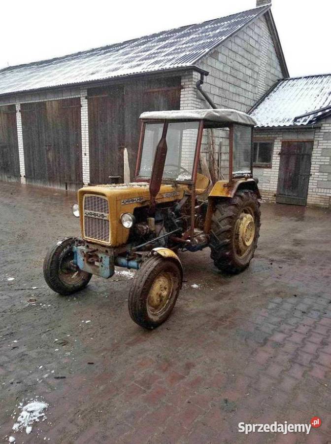 Ursus C330 Ciapek Ciągnik Rolniczy LIKWIDACJA Radziejów sprzedam