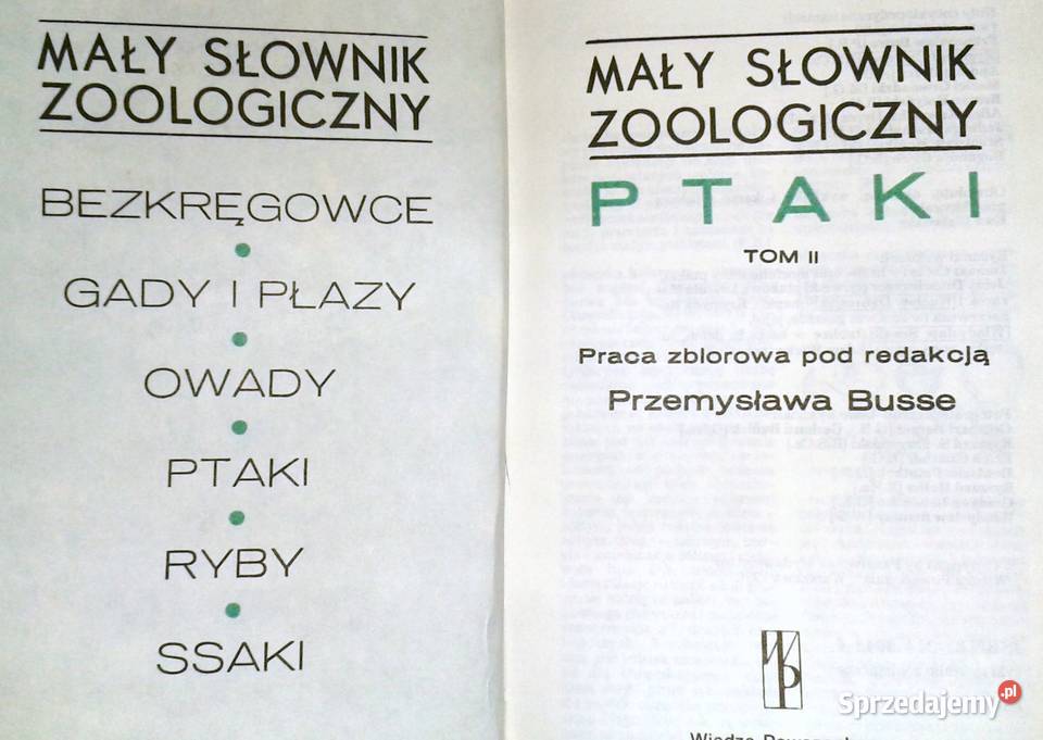 Ptaki Mały słownik zoologiczny Tom 12 Przemysław