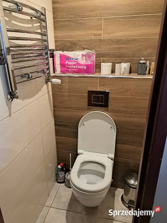 Dom z działka 7100m2 lubelskie Świdnik Duży