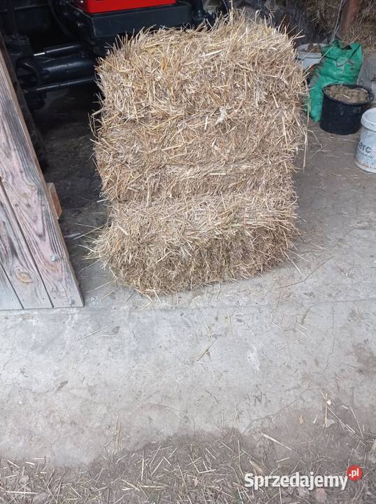 Słoma pszenżytnia Żarki