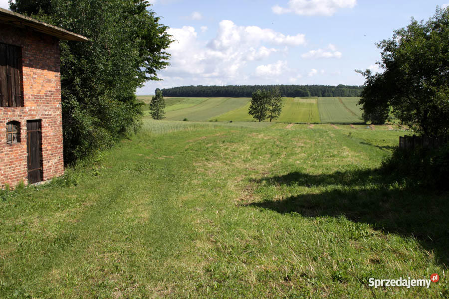 Dom Zajączki Drugie Parcele gm Krzepice pow Kłob strych Krzepice