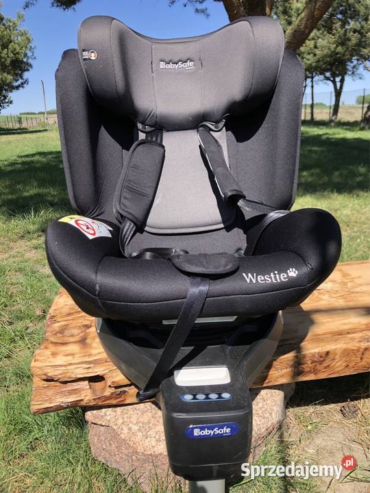 Fotelik BabySafe Westie Pałecznica