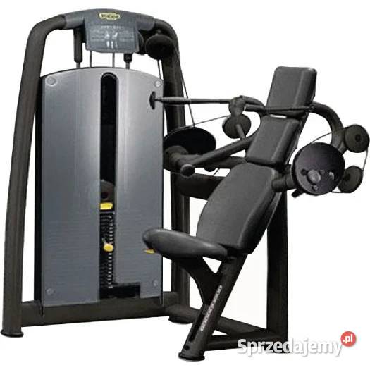 Maszyna na triceps Arm Extension Technogym Wałcz