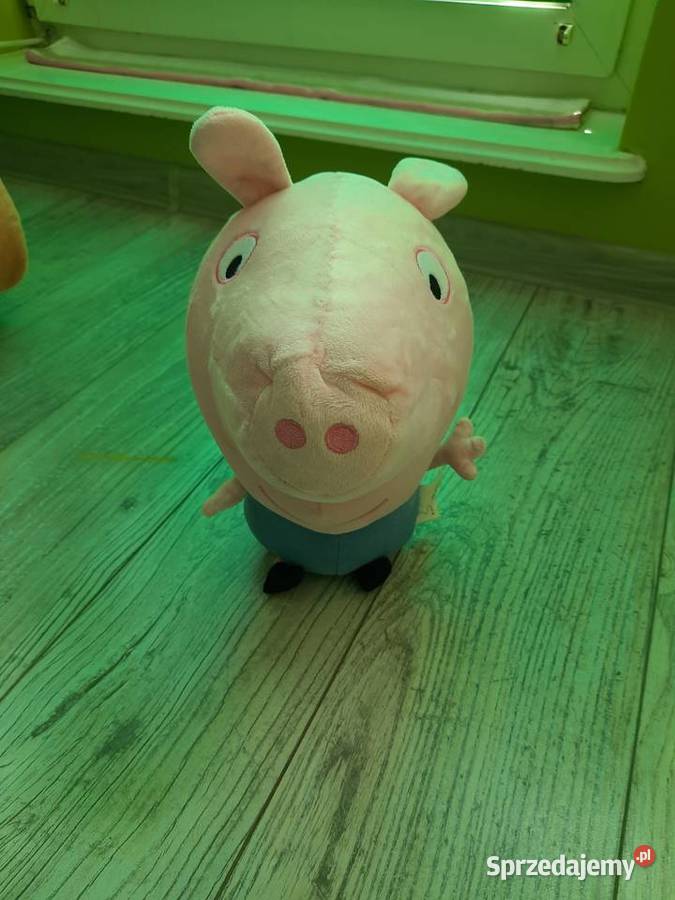 10 pluszaków dzieci Goleniów