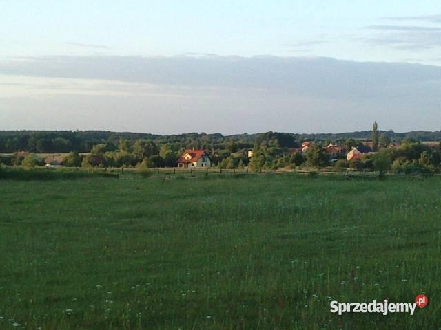 działkę OSOLINOborniki Ślaskie utwardzona dolnośląskie