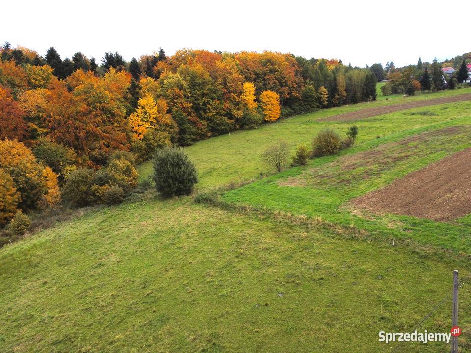 Sprzedam działkę Łęki Dukielskie Sprzedaż