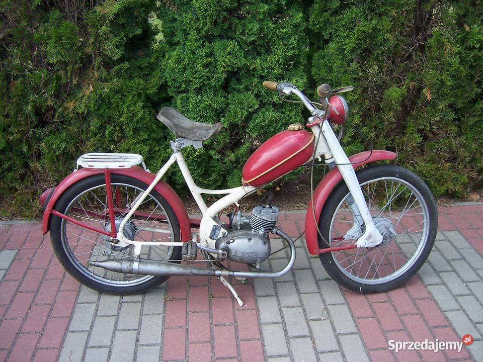 komar sztywniak Polski PRL Goleniów