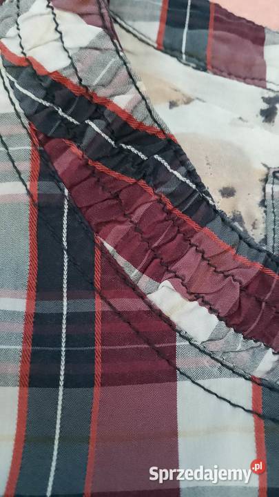 Bluzka damska marki Cecil krótki Częstochowa