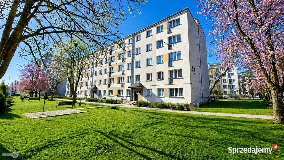 Mieszkanie Kielce 4554m2 3 pokojowe własność Sprzedaż świętokrzyskie