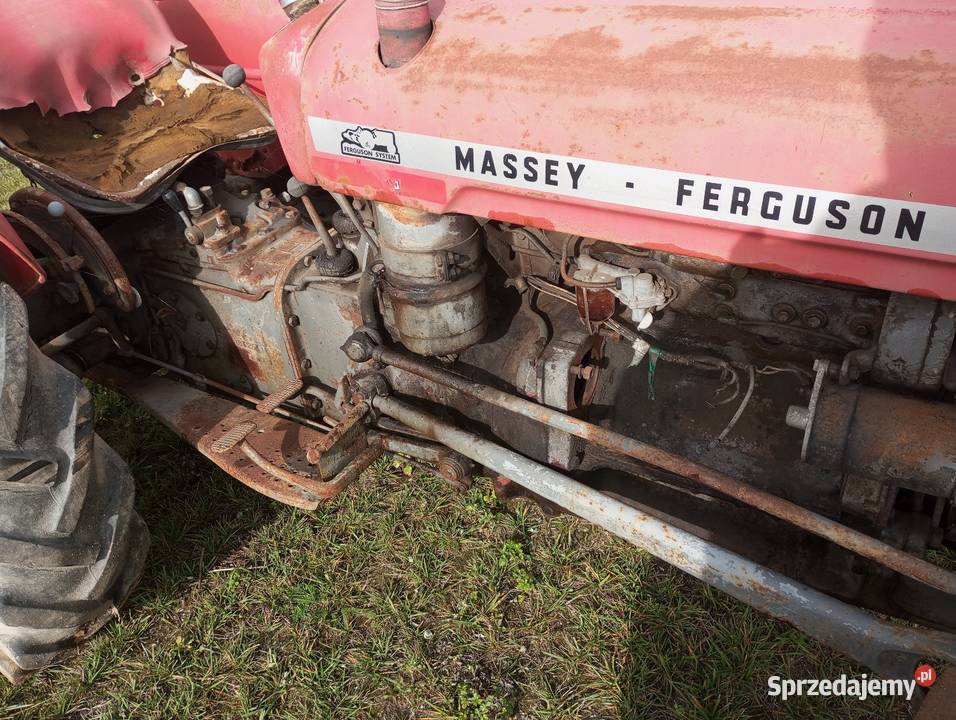 Ciągnik Massey Ferguson Buk
