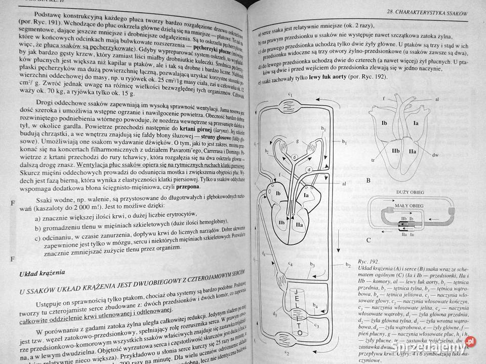 Biologia kl 2 Waldemar Lewiński lubelskie Chełm