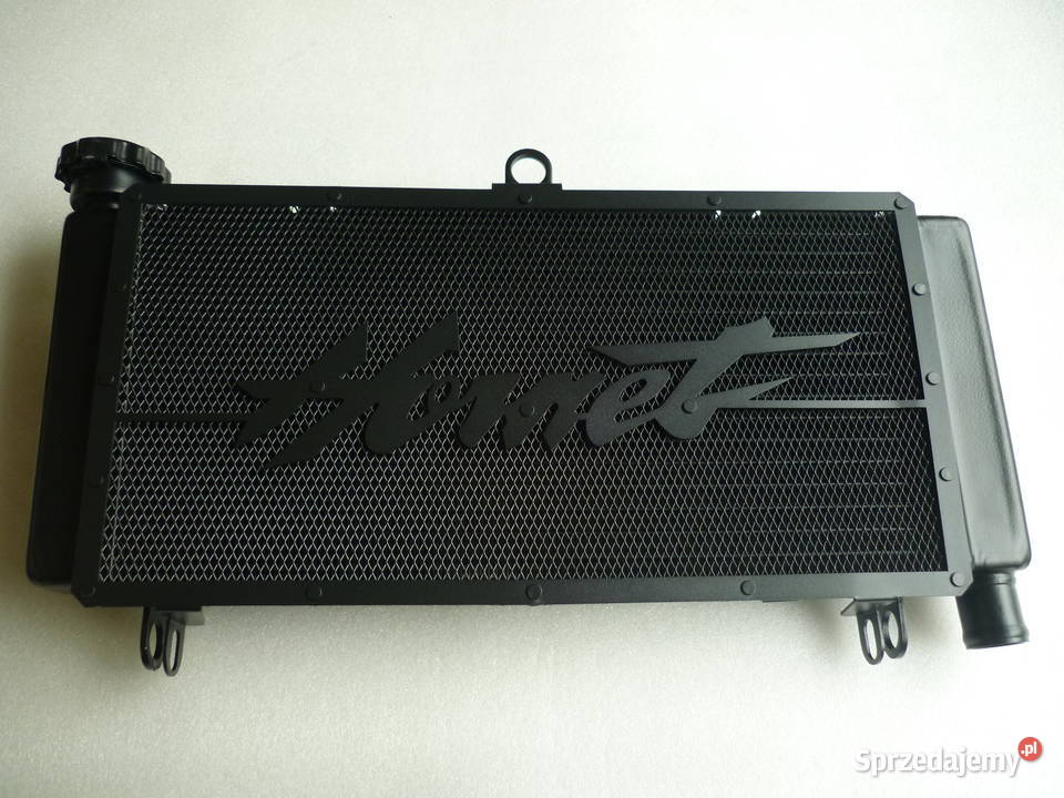 Honda Hornet CB600 osłona chłodnicyramka CB 600 Poznań sprzedam