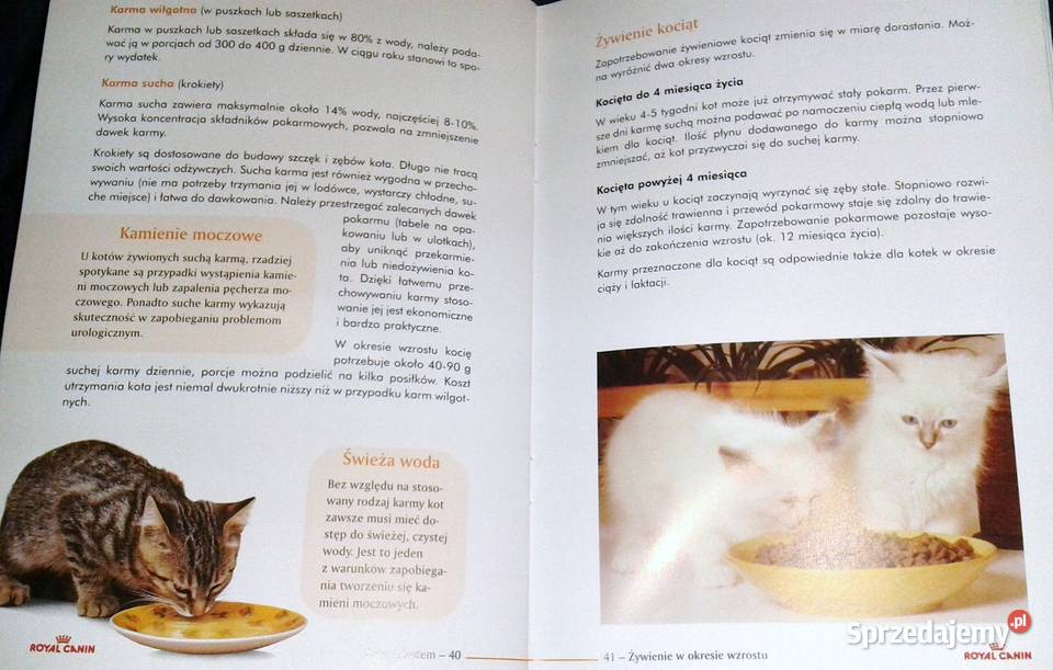 Życie z kotem Opieka i wychowanie Renner Lenfant Książki i Podręczniki
