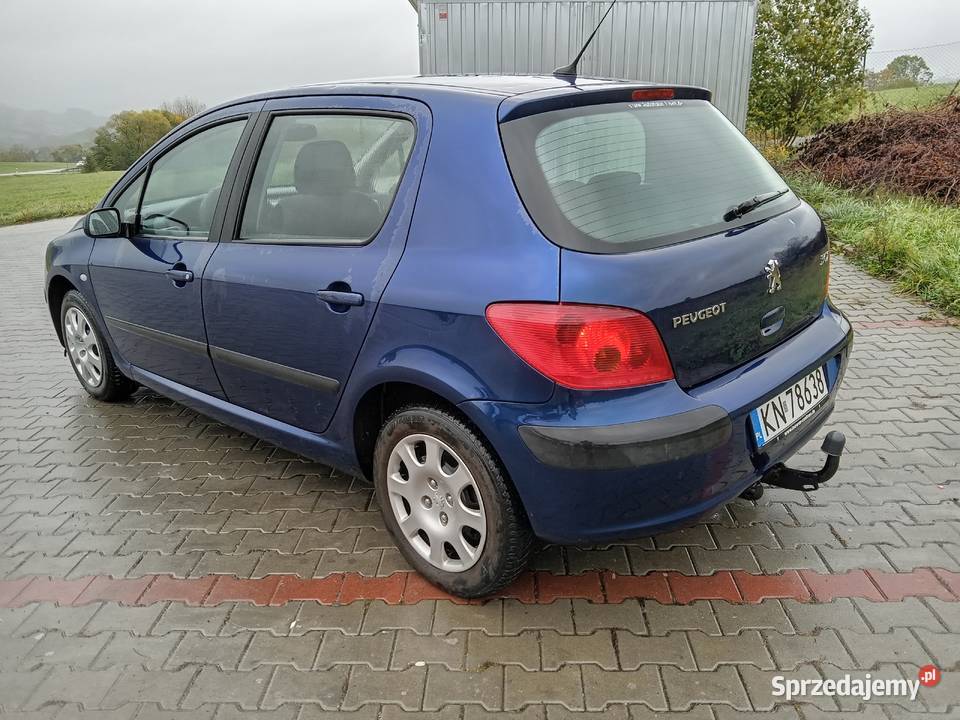 Peugeot 307 16 164 Przebiegu Grybów