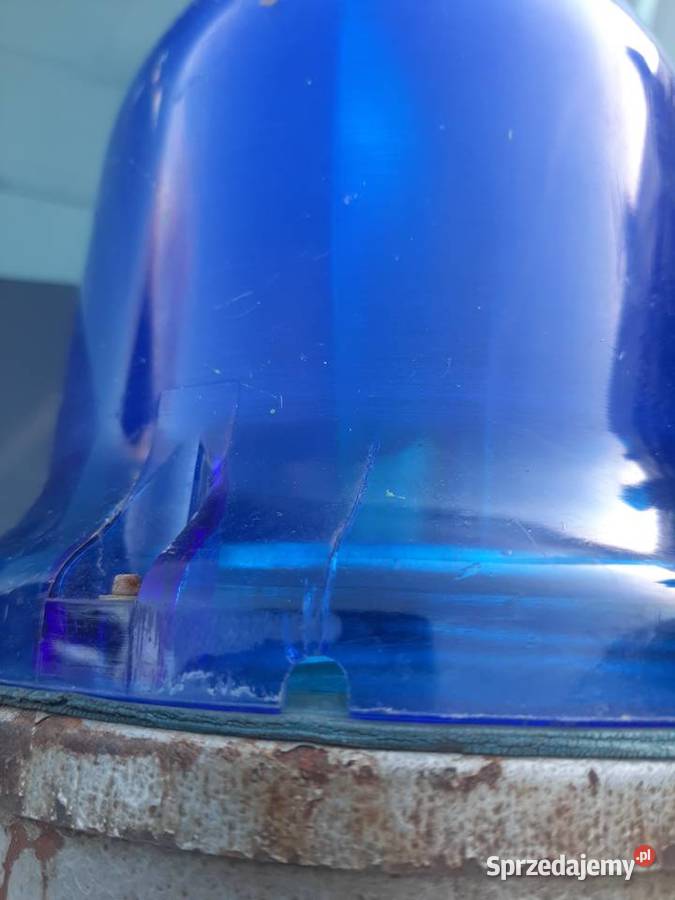 Kogut niebieski z PRLu Miłków sprzedam