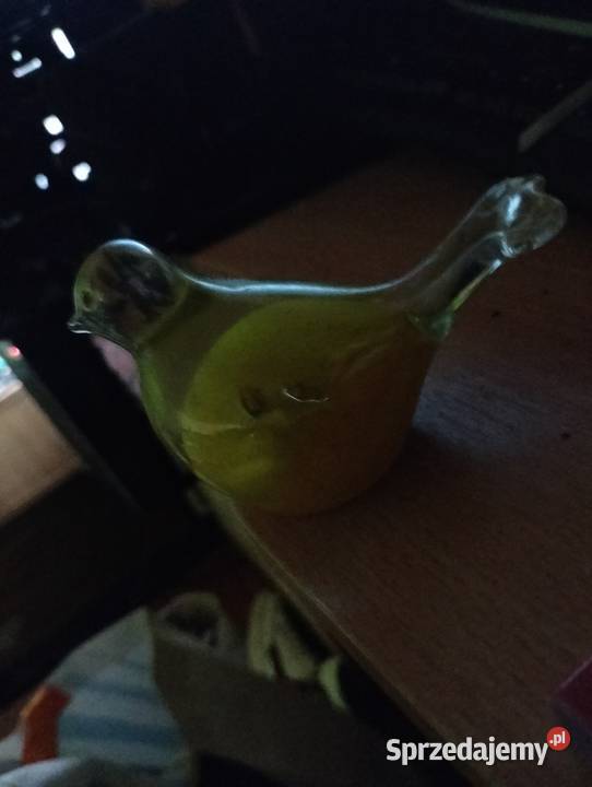 Kanarek dekoracja Legnica