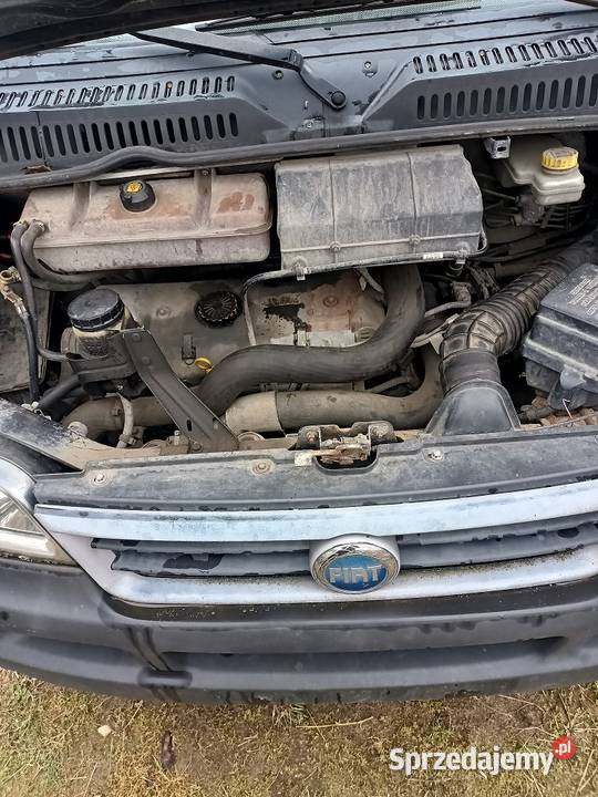 fiat ducato 28 tdi 2006 Żuromin