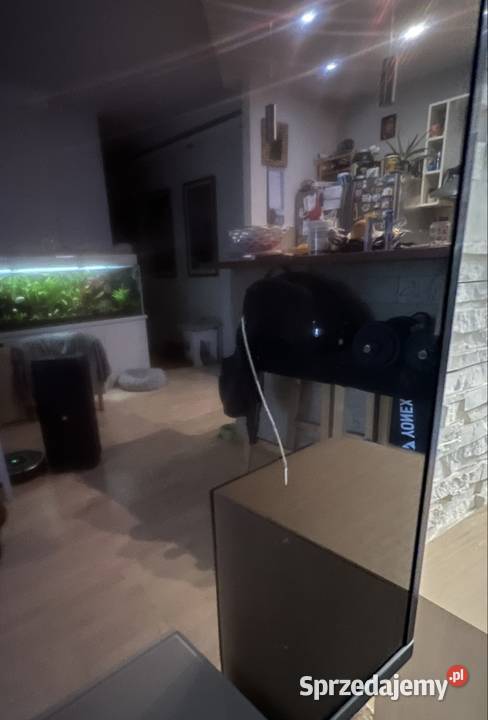 Telewizor SONY KD65XF8505 65 LED 4K 100Hz