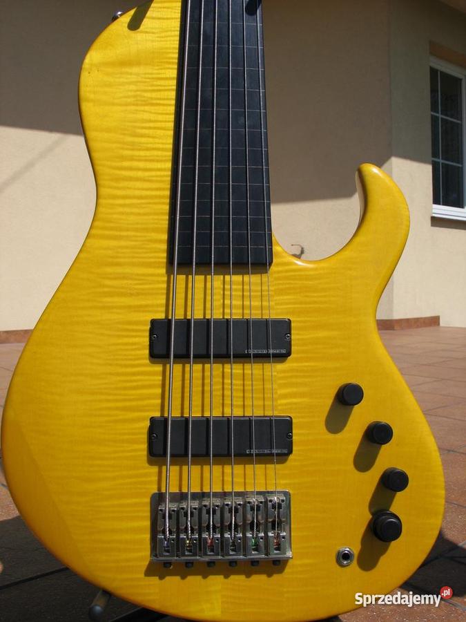 Gitara basowa NEXUS podkarpackie