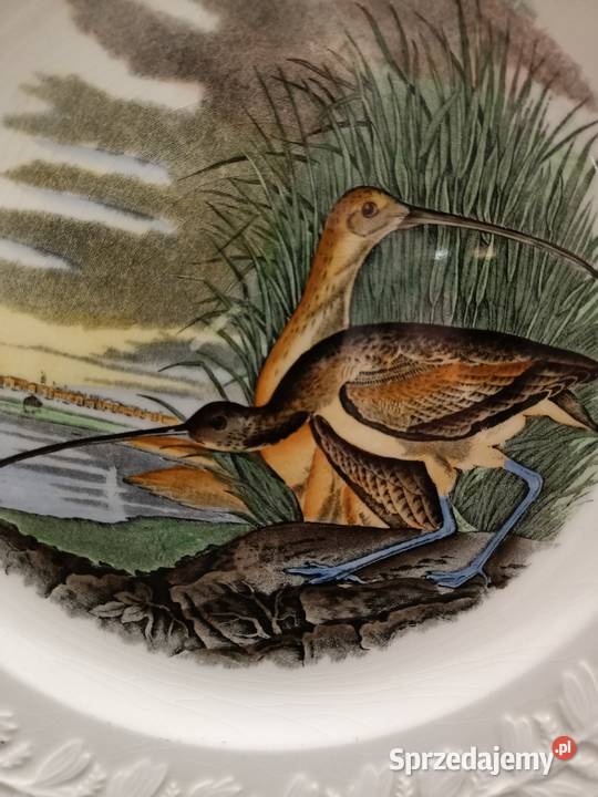 Talerz obiadowy birds America ilustra AUDUBONA lubelskie Zamość