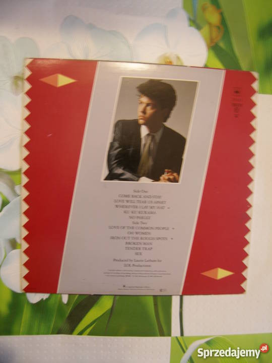 Paul Young No Parlez 1 lp małopolskie Kraków